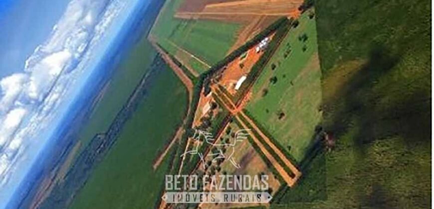 Excelente Fazenda à Venda 19.000 has Estrutura Completa com Pista de Pouso | Regeneração/ PI