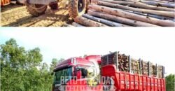 Excelente Fazenda à Venda 19.000 has Estrutura Completa com Pista de Pouso | Regeneração/ PI