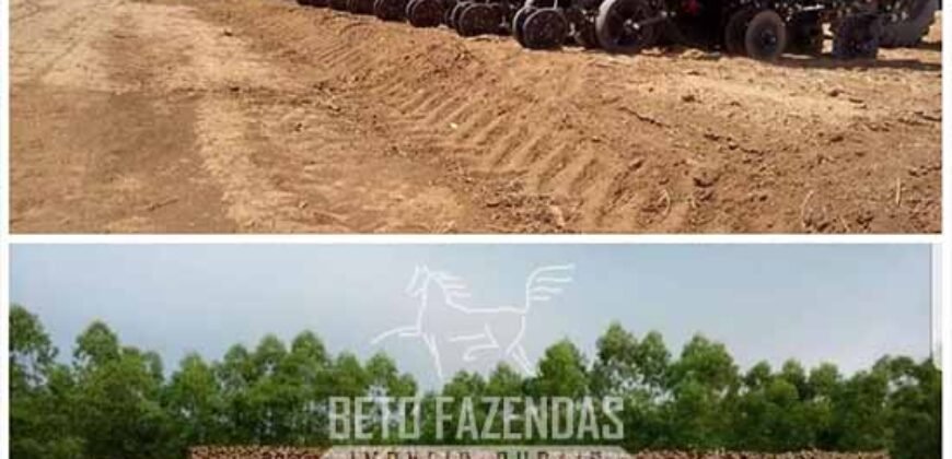 Excelente Fazenda à Venda 19.000 has Estrutura Completa com Pista de Pouso | Regeneração/ PI