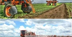 Excelente Fazenda à Venda 19.000 has Estrutura Completa com Pista de Pouso | Regeneração/ PI