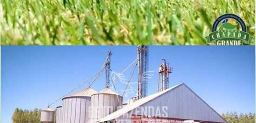 Excelente Fazenda à Venda 19.000 has Estrutura Completa com Pista de Pouso | Regeneração/ PI