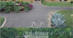 Excelente Fazenda à Venda 19.000 has Estrutura Completa com Pista de Pouso | Regeneração/ PI