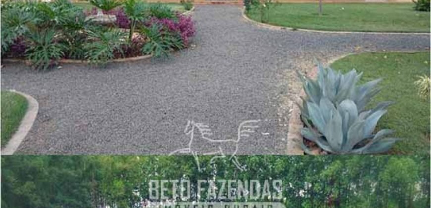 Excelente Fazenda à Venda 19.000 has Estrutura Completa com Pista de Pouso | Regeneração/ PI