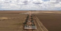 Excelente Fazenda à Venda 19.000 has Estrutura Completa com Pista de Pouso | Regeneração/ PI