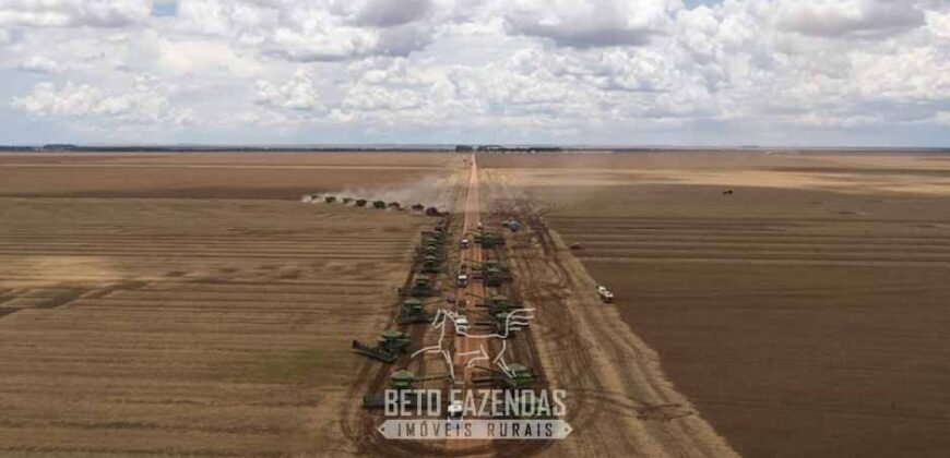 Excelente Fazenda à Venda 19.000 has Estrutura Completa com Pista de Pouso | Regeneração/ PI