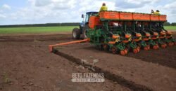 Excelente Fazenda à Venda 19.000 has Estrutura Completa com Pista de Pouso | Regeneração/ PI