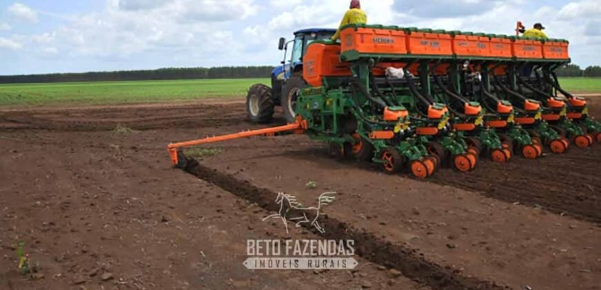 Excelente Fazenda à Venda 19.000 has Estrutura Completa com Pista de Pouso | Regeneração/ PI