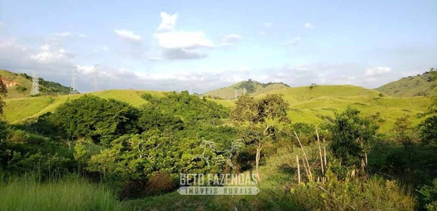 Fazenda Ótimo Investimento total 92 hectares Acesso à Represa para Pecuária | Piraí/ RJ