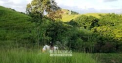 Fazenda Ótimo Investimento total 92 hectares Acesso à Represa para Pecuária | Piraí/ RJ