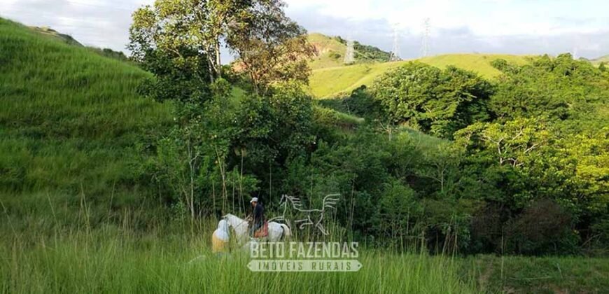 Fazenda Ótimo Investimento total 92 hectares Acesso à Represa para Pecuária | Piraí/ RJ