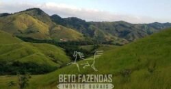 Fazenda Ótimo Investimento total 92 hectares Acesso à Represa para Pecuária | Piraí/ RJ
