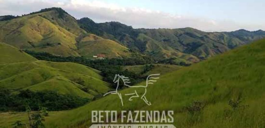 Fazenda Ótimo Investimento total 92 hectares Acesso à Represa para Pecuária | Piraí/ RJ