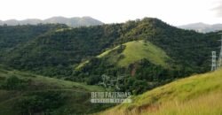 Fazenda Ótimo Investimento total 92 hectares Acesso à Represa para Pecuária | Piraí/ RJ