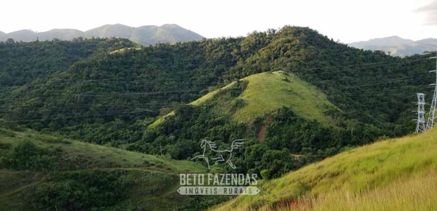 Fazenda Ótimo Investimento total 92 hectares Acesso à Represa para Pecuária | Piraí/ RJ