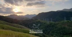 Fazenda Ótimo Investimento total 92 hectares Acesso à Represa para Pecuária | Piraí/ RJ