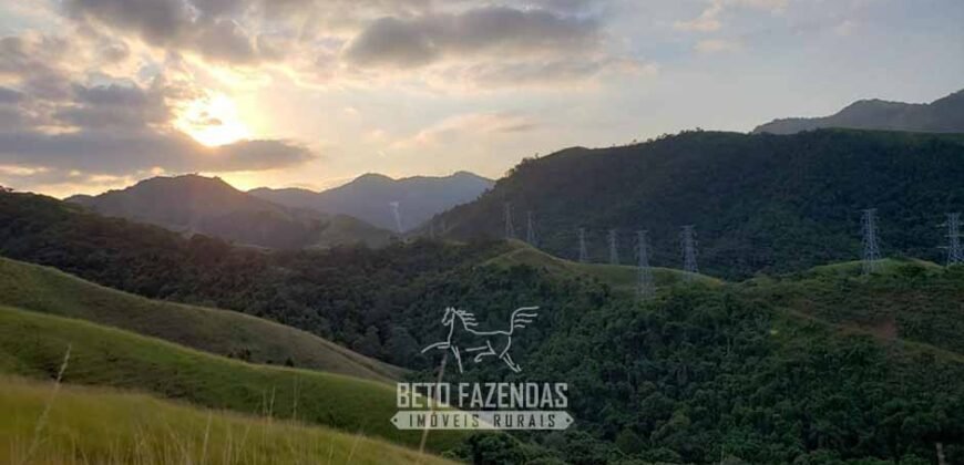 Fazenda Ótimo Investimento total 92 hectares Acesso à Represa para Pecuária | Piraí/ RJ
