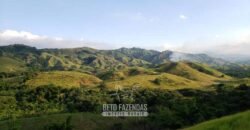 Fazenda Ótimo Investimento total 92 hectares Acesso à Represa para Pecuária | Piraí/ RJ