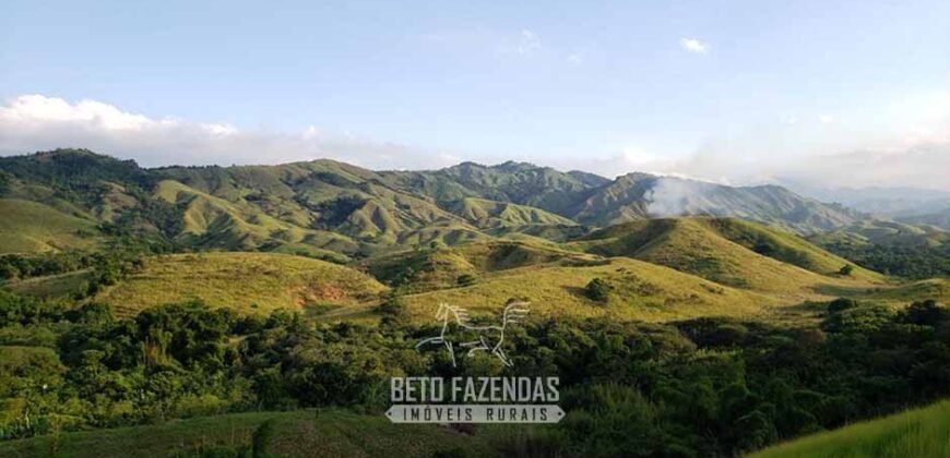 Fazenda Ótimo Investimento total 92 hectares Acesso à Represa para Pecuária | Piraí/ RJ