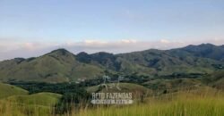 Fazenda Ótimo Investimento total 92 hectares Acesso à Represa para Pecuária | Piraí/ RJ
