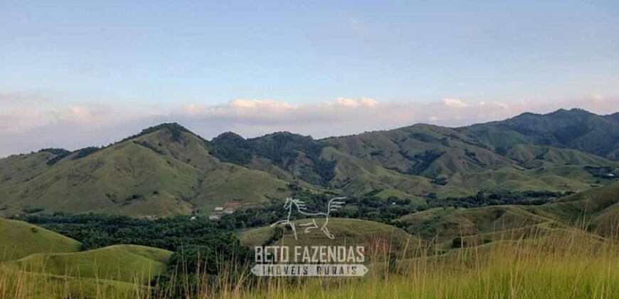 Fazenda Ótimo Investimento total 92 hectares Acesso à Represa para Pecuária | Piraí/ RJ