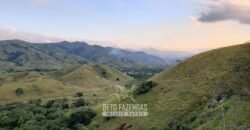 Fazenda Ótimo Investimento total 92 hectares Acesso à Represa para Pecuária | Piraí/ RJ