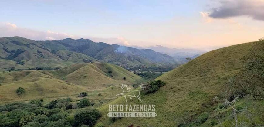 Fazenda Ótimo Investimento total 92 hectares Acesso à Represa para Pecuária | Piraí/ RJ