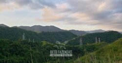 Fazenda Ótimo Investimento total 92 hectares Acesso à Represa para Pecuária | Piraí/ RJ