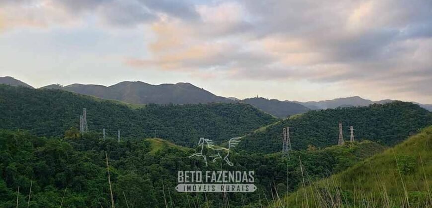 Fazenda Ótimo Investimento total 92 hectares Acesso à Represa para Pecuária | Piraí/ RJ