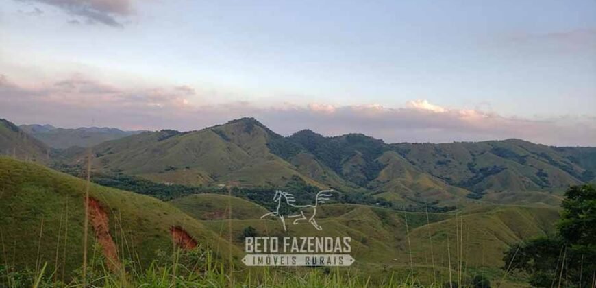 Fazenda Ótimo Investimento total 92 hectares Acesso à Represa para Pecuária | Piraí/ RJ