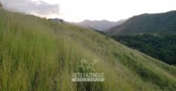 Fazenda Ótimo Investimento total 92 hectares Acesso à Represa para Pecuária | Piraí/ RJ