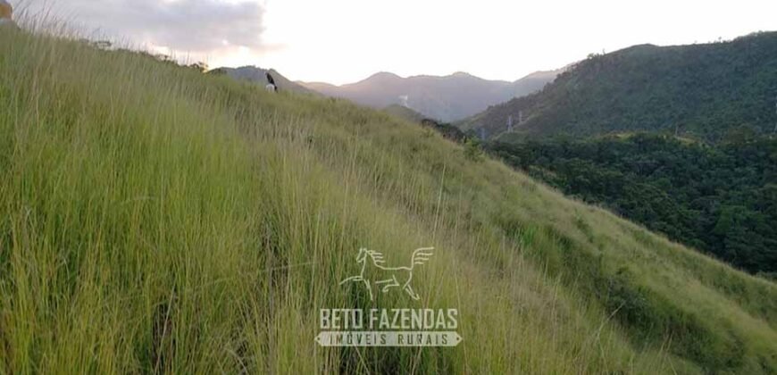 Fazenda Ótimo Investimento total 92 hectares Acesso à Represa para Pecuária | Piraí/ RJ