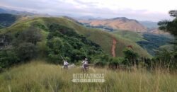 Fazenda Ótimo Investimento total 92 hectares Acesso à Represa para Pecuária | Piraí/ RJ