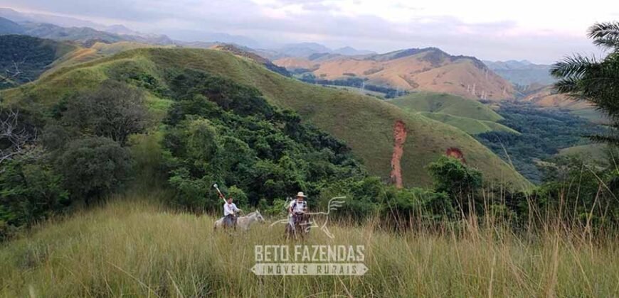 Fazenda Ótimo Investimento total 92 hectares Acesso à Represa para Pecuária | Piraí/ RJ