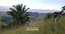 Fazenda Ótimo Investimento total 92 hectares Acesso à Represa para Pecuária | Piraí/ RJ