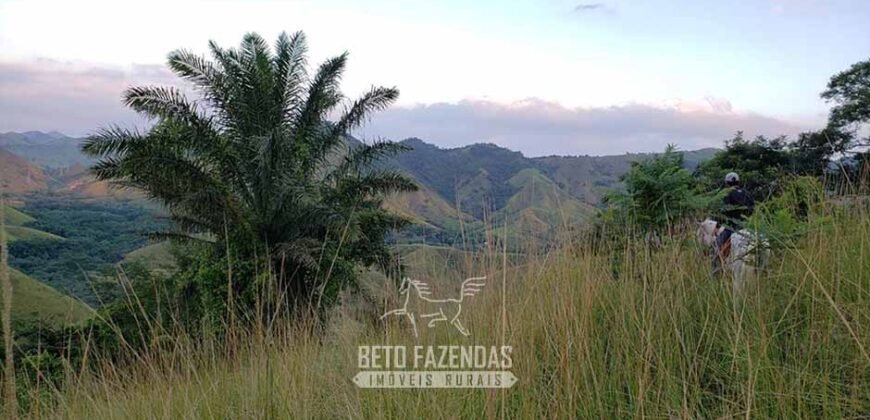 Fazenda Ótimo Investimento total 92 hectares Acesso à Represa para Pecuária | Piraí/ RJ