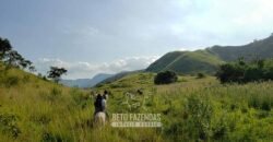 Fazenda Ótimo Investimento total 92 hectares Acesso à Represa para Pecuária | Piraí/ RJ