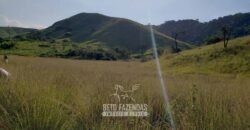 Fazenda Ótimo Investimento total 92 hectares Acesso à Represa para Pecuária | Piraí/ RJ