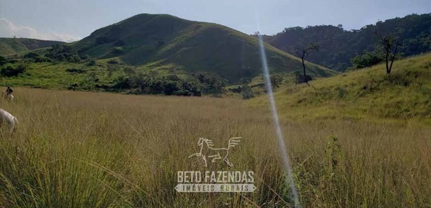 Fazenda Ótimo Investimento total 92 hectares Acesso à Represa para Pecuária | Piraí/ RJ