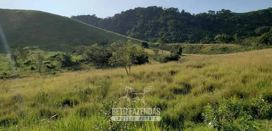 Fazenda Ótimo Investimento total 92 hectares Acesso à Represa para Pecuária | Piraí/ RJ