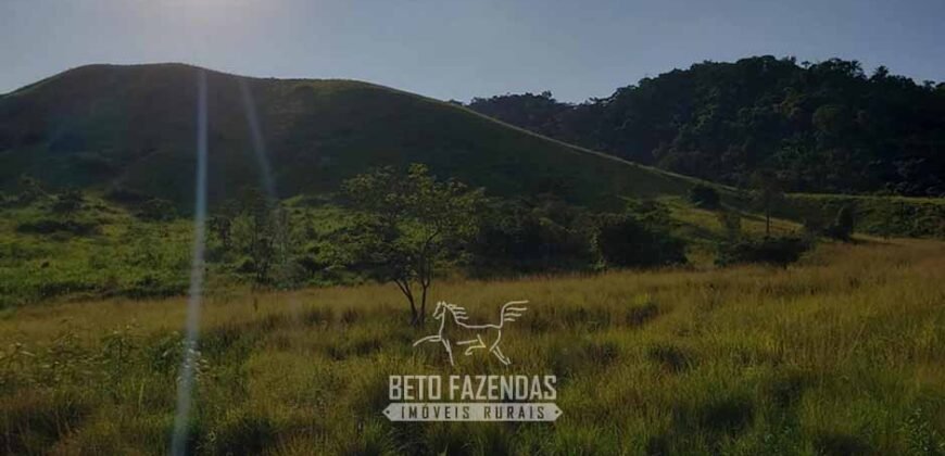 Fazenda Ótimo Investimento total 92 hectares Acesso à Represa para Pecuária | Piraí/ RJ