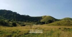 Fazenda Ótimo Investimento total 92 hectares Acesso à Represa para Pecuária | Piraí/ RJ