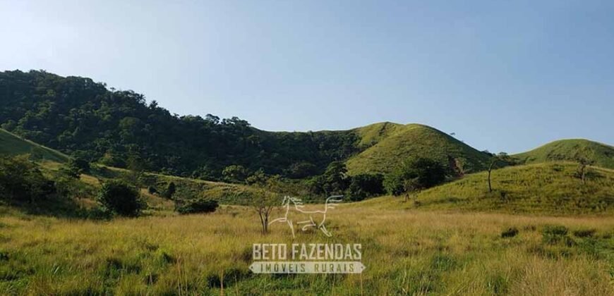 Fazenda Ótimo Investimento total 92 hectares Acesso à Represa para Pecuária | Piraí/ RJ