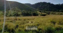 Fazenda Ótimo Investimento total 92 hectares Acesso à Represa para Pecuária | Piraí/ RJ