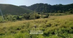 Fazenda Ótimo Investimento total 92 hectares Acesso à Represa para Pecuária | Piraí/ RJ