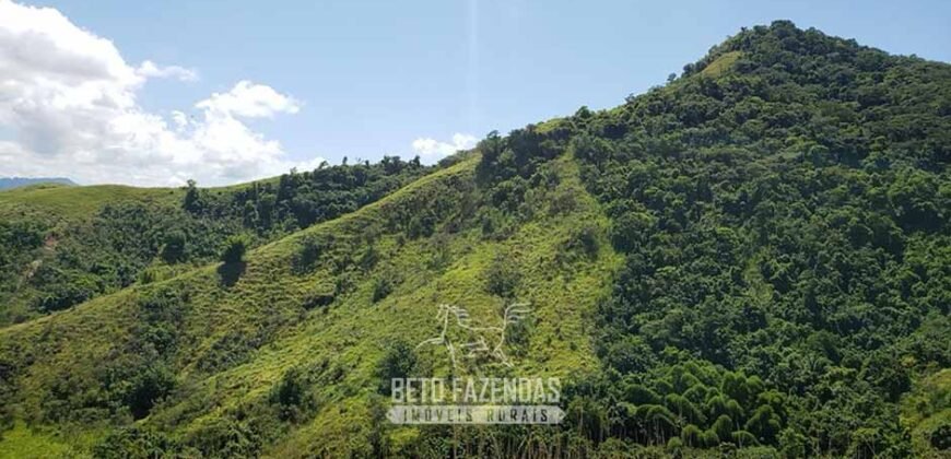 Fazenda Ótimo Investimento total 92 hectares Acesso à Represa para Pecuária | Piraí/ RJ