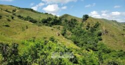 Fazenda Ótimo Investimento total 92 hectares Acesso à Represa para Pecuária | Piraí/ RJ