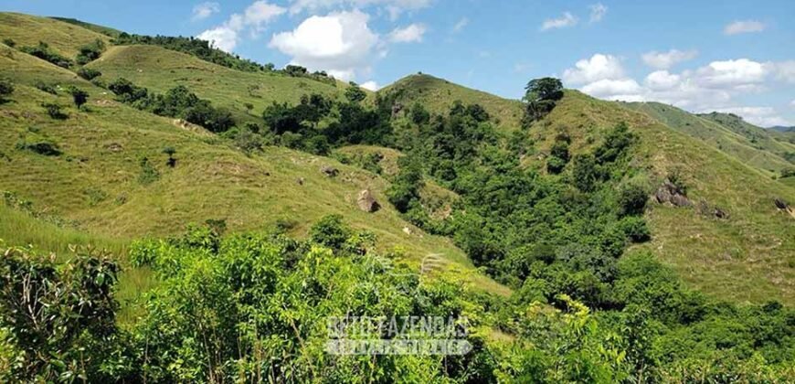 Fazenda Ótimo Investimento total 92 hectares Acesso à Represa para Pecuária | Piraí/ RJ
