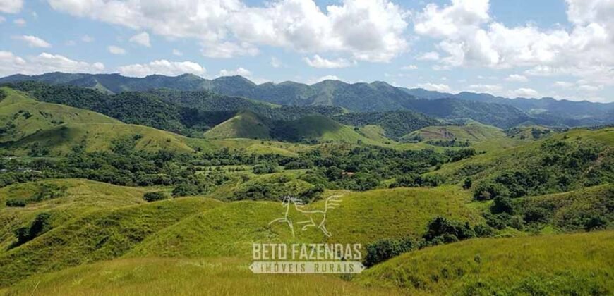 Fazenda Ótimo Investimento total 92 hectares Acesso à Represa para Pecuária | Piraí/ RJ