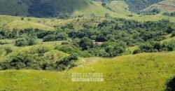 Fazenda Ótimo Investimento total 92 hectares Acesso à Represa para Pecuária | Piraí/ RJ