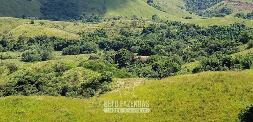 Fazenda Ótimo Investimento total 92 hectares Acesso à Represa para Pecuária | Piraí/ RJ